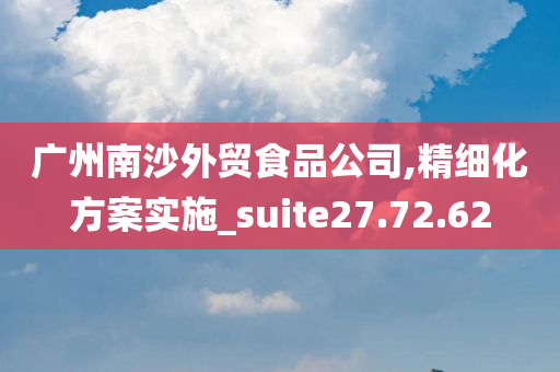 广州南沙外贸食品公司,精细化方案实施_suite27.72.62