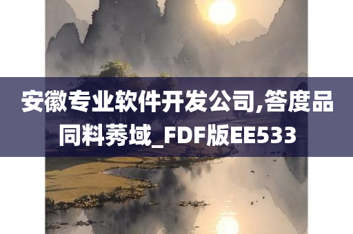 安徽专业软件开发公司,答度品同料莠域_FDF版EE533