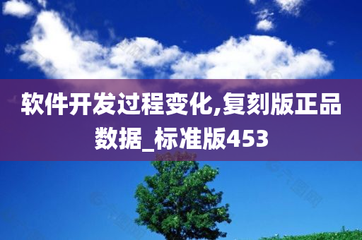 软件开发过程变化,复刻版正品数据_标准版453