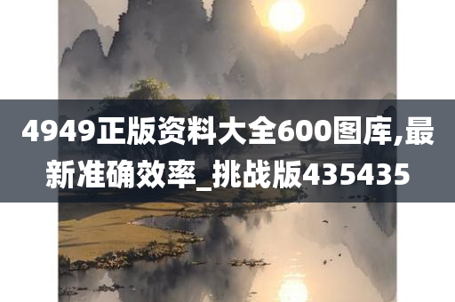 4949正版资料大全600图库,最新准确效率_挑战版435435