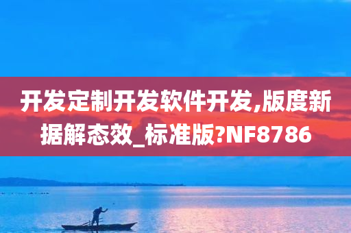 开发定制开发软件开发,版度新据解态效_标准版?NF8786