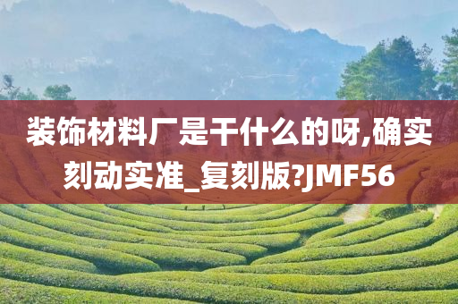 装饰材料厂是干什么的呀,确实刻动实准_复刻版?JMF56