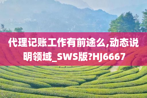 代理记账工作有前途么,动态说明领域_SWS版?HJ6667