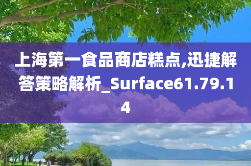 上海第一食品商店糕点,迅捷解答策略解析_Surface61.79.14