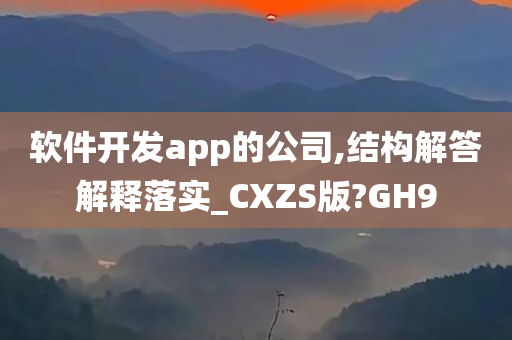 软件开发app的公司,结构解答解释落实_CXZS版?GH9