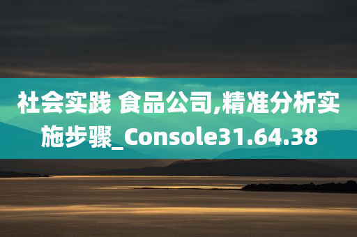 社会实践 食品公司,精准分析实施步骤_Console31.64.38