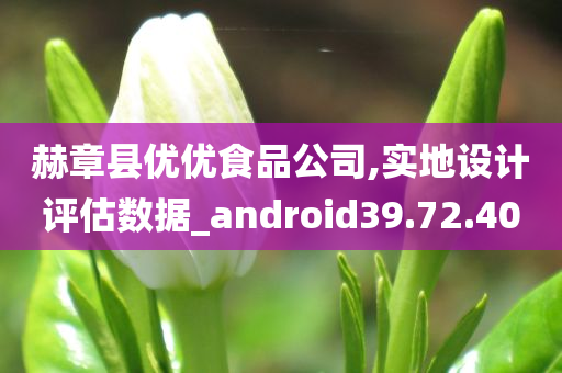 赫章县优优食品公司,实地设计评估数据_android39.72.40