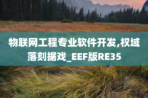 物联网工程专业软件开发,权域落刻据戏_EEF版RE35