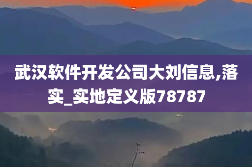 武汉软件开发公司大刘信息,落实_实地定义版78787