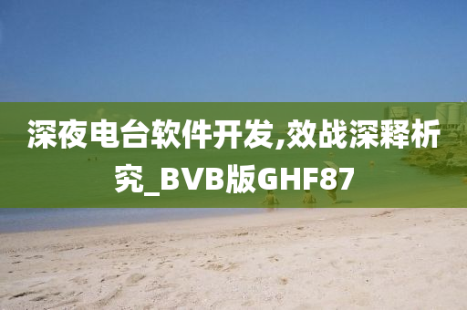 深夜电台软件开发,效战深释析究_BVB版GHF87