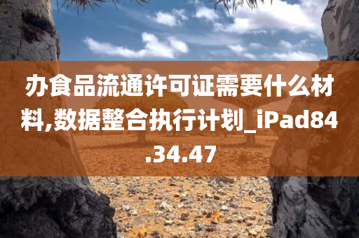 办食品流通许可证需要什么材料,数据整合执行计划_iPad84.34.47