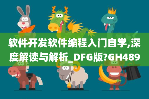 软件开发软件编程入门自学,深度解读与解析_DFG版?GH489