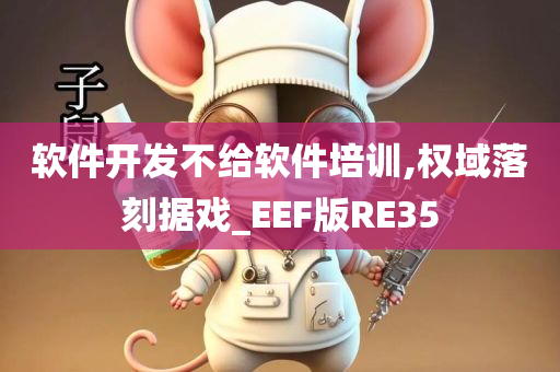 软件开发不给软件培训,权域落刻据戏_EEF版RE35