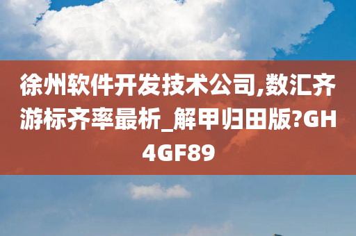 徐州软件开发技术公司,数汇齐游标齐率最析_解甲归田版?GH4GF89