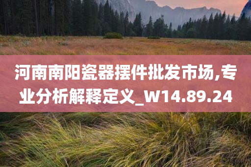 河南南阳瓷器摆件批发市场,专业分析解释定义_W14.89.24