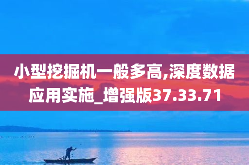 小型挖掘机一般多高,深度数据应用实施_增强版37.33.71