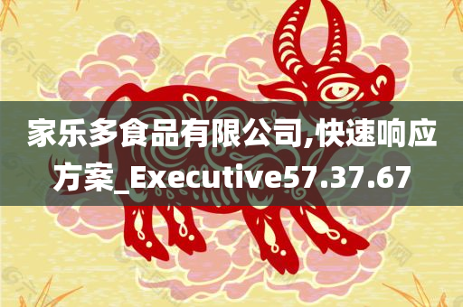 家乐多食品有限公司,快速响应方案_Executive57.37.67