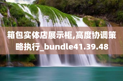 箱包实体店展示柜,高度协调策略执行_bundle41.39.48