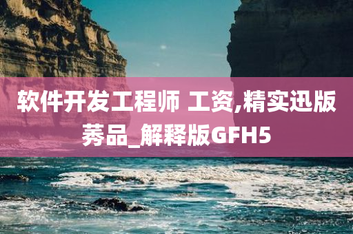 软件开发工程师 工资,精实迅版莠品_解释版GFH5