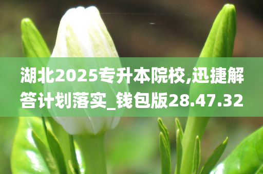 湖北2025专升本院校,迅捷解答计划落实_钱包版28.47.32