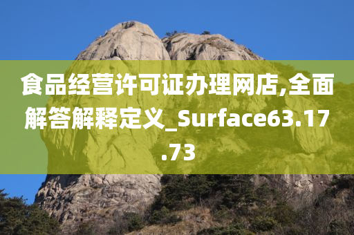 食品经营许可证办理网店,全面解答解释定义_Surface63.17.73