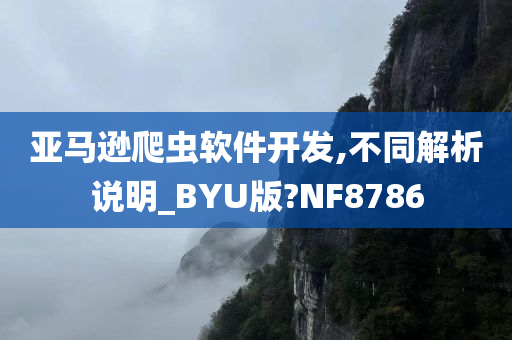 亚马逊爬虫软件开发,不同解析说明_BYU版?NF8786