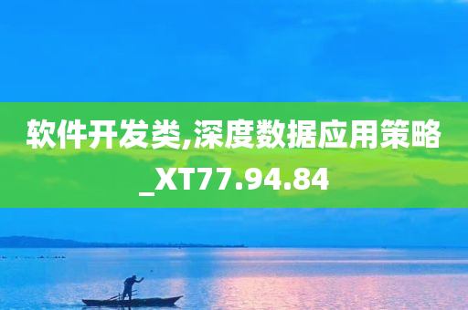 软件开发类,深度数据应用策略_XT77.94.84