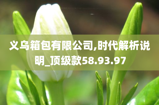 义乌箱包有限公司,时代解析说明_顶级款58.93.97