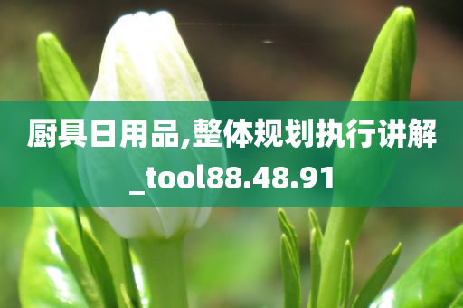 厨具日用品,整体规划执行讲解_tool88.48.91