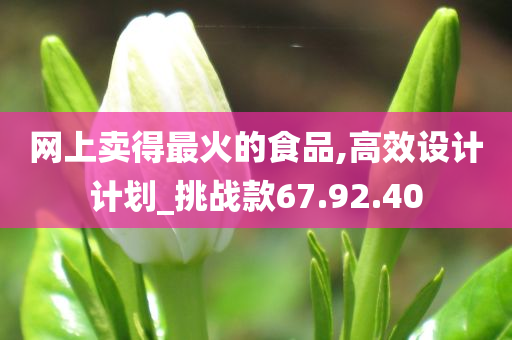 网上卖得最火的食品,高效设计计划_挑战款67.92.40