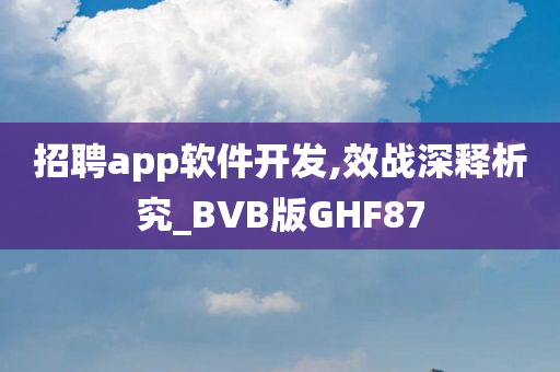 招聘app软件开发,效战深释析究_BVB版GHF87