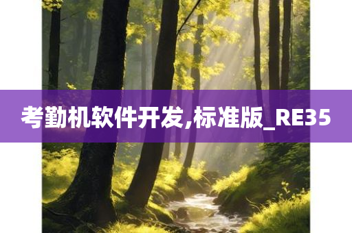 考勤机软件开发,标准版_RE35