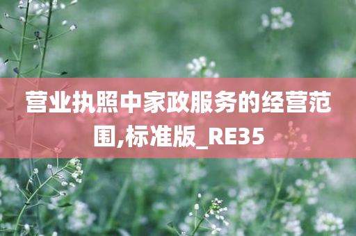 营业执照中家政服务的经营范围,标准版_RE35