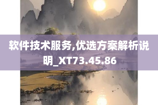 软件技术服务,优选方案解析说明_XT73.45.86