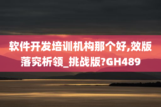 软件开发培训机构那个好,效版落究析领_挑战版?GH489