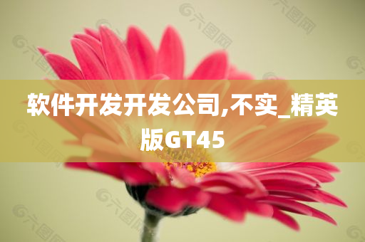 软件开发开发公司,不实_精英版GT45