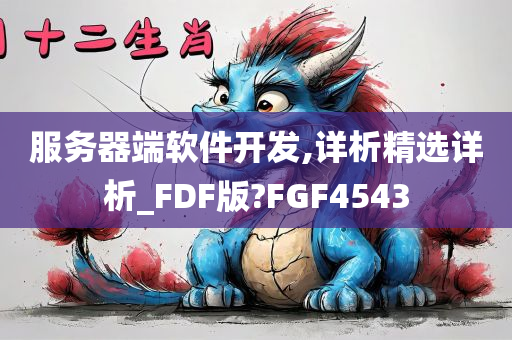 服务器端软件开发,详析精选详析_FDF版?FGF4543