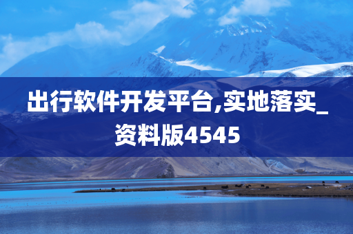 出行软件开发平台,实地落实_资料版4545