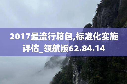 2017最流行箱包,标准化实施评估_领航版62.84.14