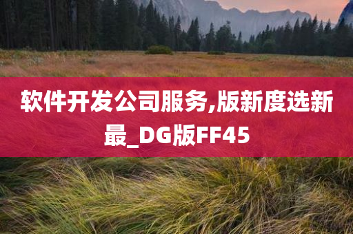 软件开发公司服务,版新度选新最_DG版FF45