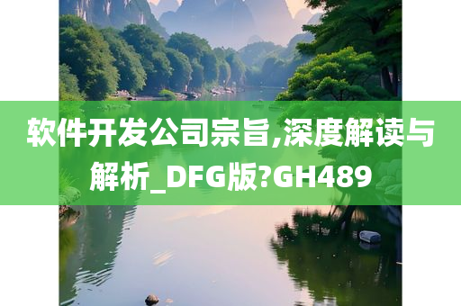 软件开发公司宗旨,深度解读与解析_DFG版?GH489