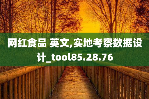 网红食品 英文,实地考察数据设计_tool85.28.76