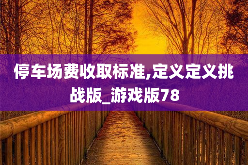 停车场费收取标准,定义定义挑战版_游戏版78