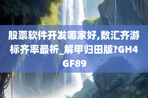 股票软件开发哪家好,数汇齐游标齐率最析_解甲归田版?GH4GF89