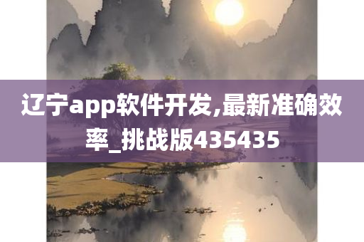 辽宁app软件开发,最新准确效率_挑战版435435