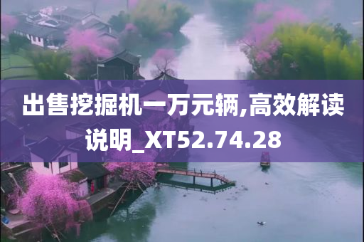 出售挖掘机一万元辆,高效解读说明_XT52.74.28