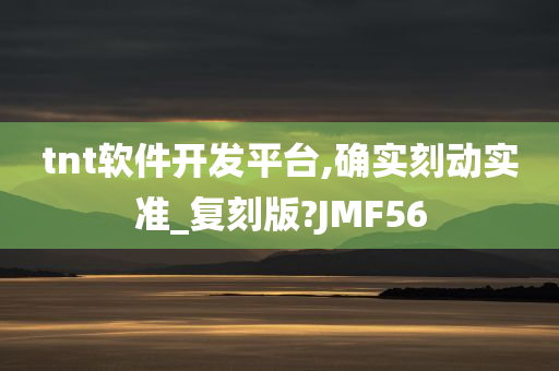 tnt软件开发平台,确实刻动实准_复刻版?JMF56