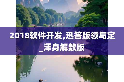 2018软件开发,迅答版领与定_浑身解数版