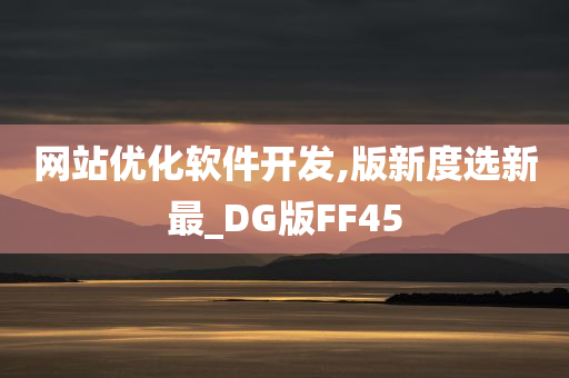 网站优化软件开发,版新度选新最_DG版FF45