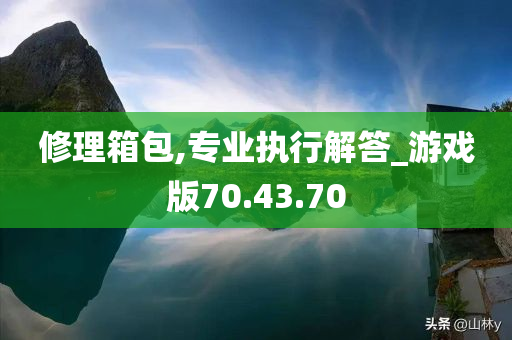 修理箱包,专业执行解答_游戏版70.43.70